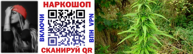 Наркошоп Белово Alpha PVP  Гашиш  Канабис 