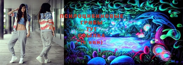 дурь Аркадак