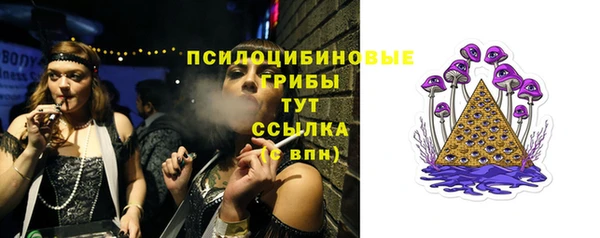 ешки Балахна